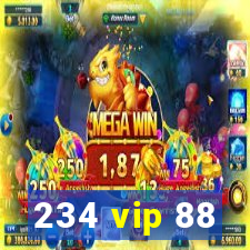 234 vip 88